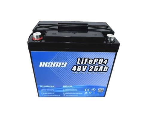 Lightweight 48v 25ah lifepo4 battery