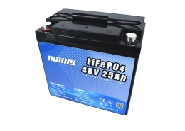 Lightweight 48v 25ah lifepo4 battery - manly