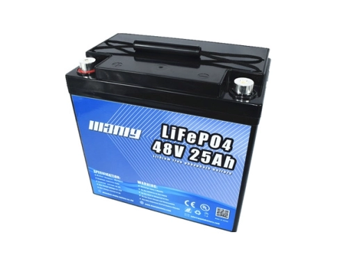 Lightweight 48v 25ah lifepo4 battery