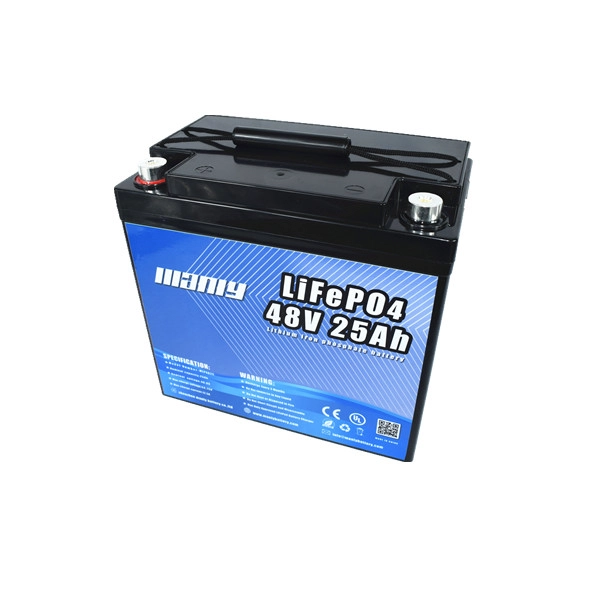 Lightweight 48v 25ah lifepo4 battery
