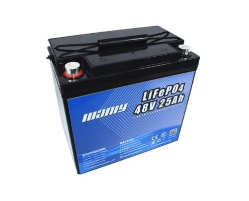 Lightweight 48v 25ah lifepo4 battery