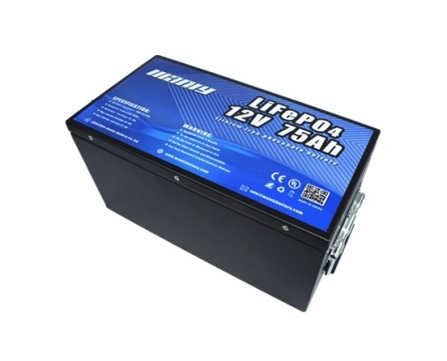 Lifepo4 battery - manly