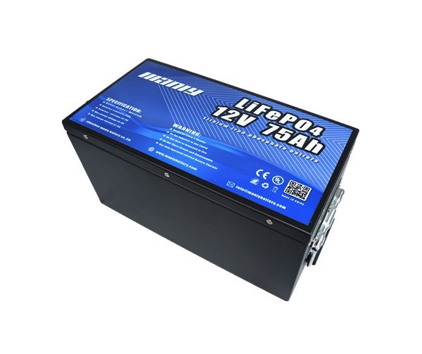 Lifepo4 battery - manly