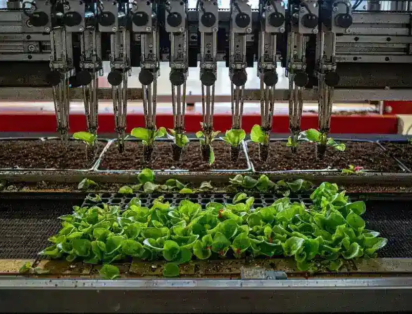 Agricultural robots