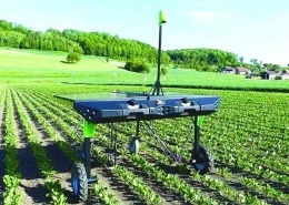 Weeding robot - manly