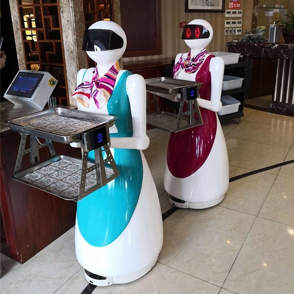 Robot battery