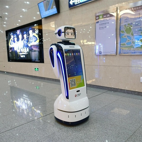 Robot battery