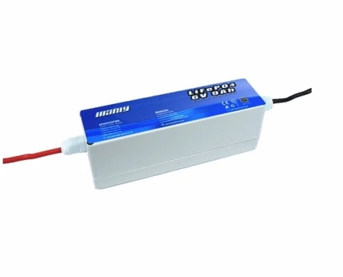6v 9ah lifepo4 battery