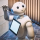 Robot battery - manly