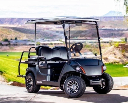 Golf cart batteries - manly