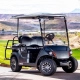 Golf cart batteries - manly