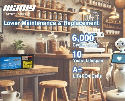 24v 100ah lifepo4 lithium battery lifespan