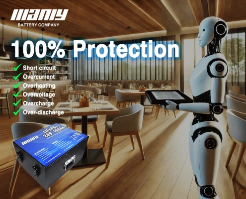 24v 100ah lifepo4 lithium battery protection