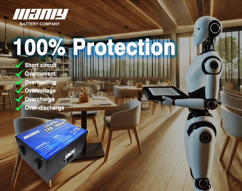 Lifepo4 lithium battery protection