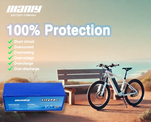 48v 20ah lithium ebike battery protection​