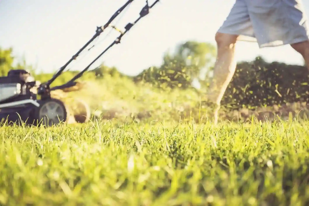 Batteries for lawn mowers - manly