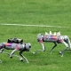 Hangzhou asian games 2023: robotic dog revolution - manly