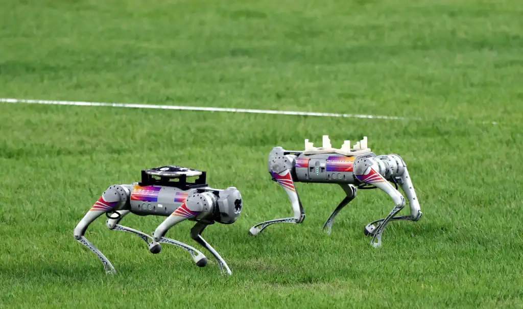 Hangzhou asian games 2023: robotic dog revolution