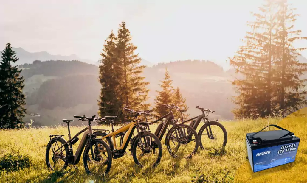 Lithium e bike battery