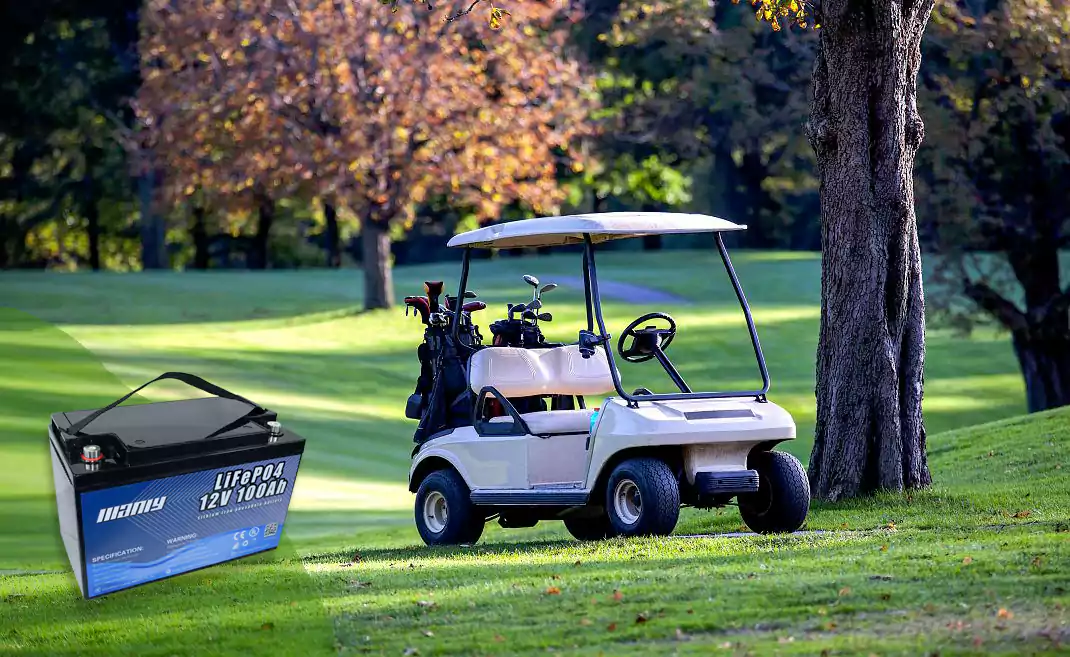 Gas vs electric golf cart - what to choose in 2024