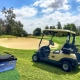 Golf cart battery - manly