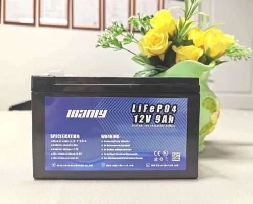 12v 9ah lifepo4 battery - bulk battery - manly battery