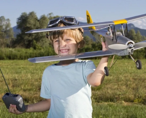 Large remote-control airplanes