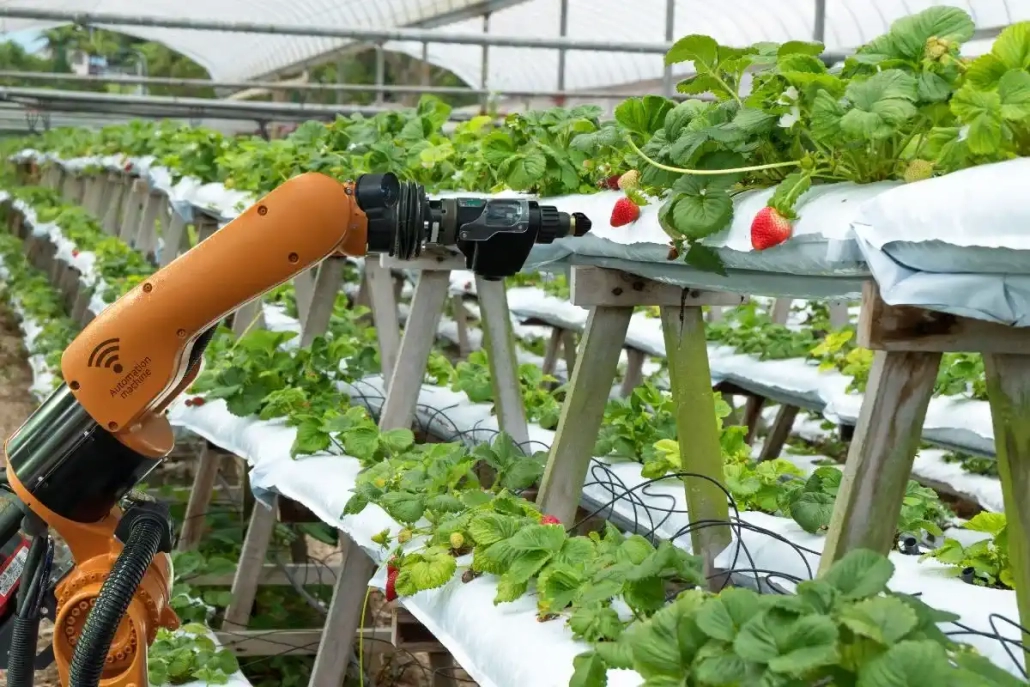 Picking robot