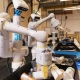 Lithium powered sorting robot - manly