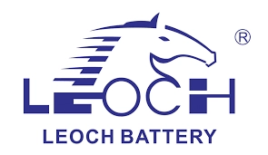 Leoch® international technology ltd