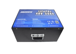 48v lithium golf cart battery - manly