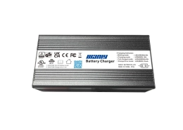Golf cart battery charger - manly