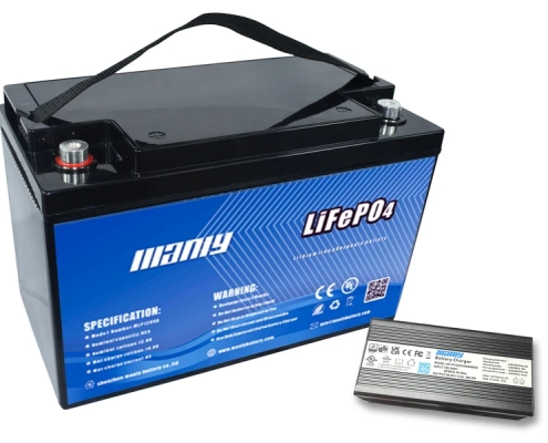 Best 6 volt golf cart battery