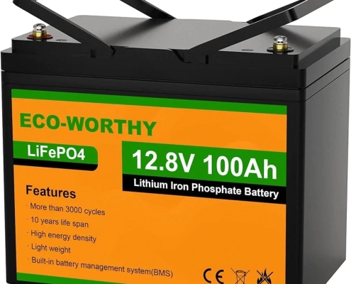 Eco worthy 12v 100ah lifepo4 battery