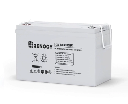 Renogy 12 volt deep-cycle agm battery