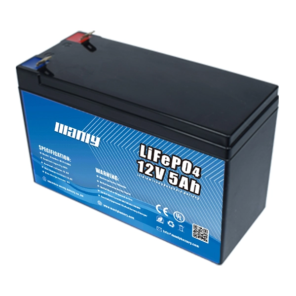 12v 5ah lithium lifepo4 deep cycle battery f2
